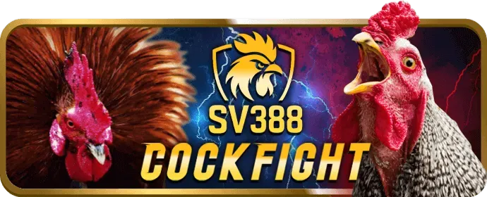 Chiến lược chơi Slot